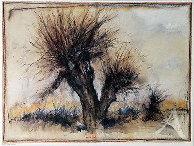 Kunstdruck "Weidenabend"