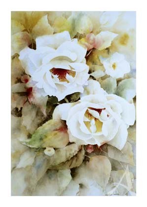 Postkarte "Rosen 'Ilse Krohn'"