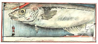 Postkarte, "Schellfisch" , DIN lang Postkarte, "Schellfisch" , DIN lang