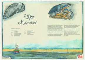 "LECKER ETEN - Das FÖHR Kochbuch" - von OLE WEST - VE5